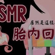 挿入Asmr