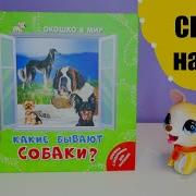 На Ночь Для Собаки