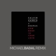 Calvin Harris Disciples How Deep Is Your Love Michael Badal Remix