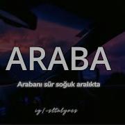 Arabani Sur Soguk Aralikta