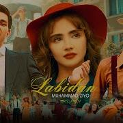 Labidan