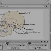 Subliminal Desired Skull