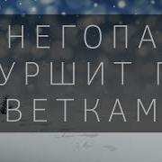 Снегопад Шуршит По Веткам