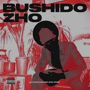 Злая Тварь Feat Killhope Bushido Zho