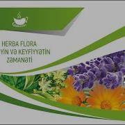 Herba Floranın Başağrısı Üçün Olan Çayı