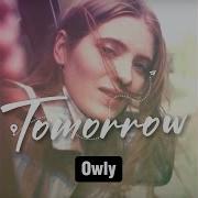 Owly Tomorrow