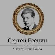 Черёмуха Душистая С Весною Расцвела Сергей Есенин Слушать Стихи