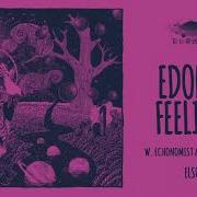 Edone Feelings Sahar Z Remix