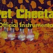 Twenty One Pilots Pet Cheetah Official Instrumental