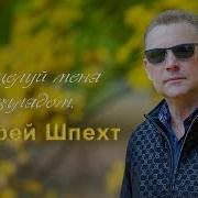 Поцелуй Меня Взглядом Андрей Шпехт