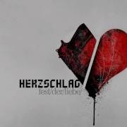 Herzschlag Dein Lied