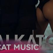 Mr Vik Balkaton Official Video