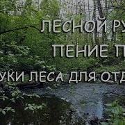 Релакс С Журчанием Воды