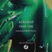 Tribe Vibe Dilby Remix Extended Acrobat