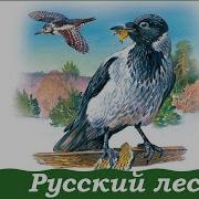 Л Лесной Русский Лес Слушать Аудеокнигу