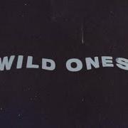 Jonathan Traylor For The Wild Ones