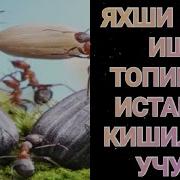 Яхши Ишга Кириш Дуоси