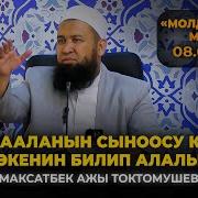 Максат Ажы Токтомушев