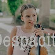 Violin Ringtone Despacito