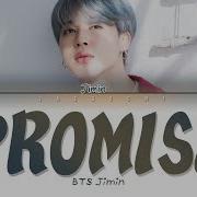 Jimin Promises