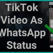 Whatsapp Tick Tok Status