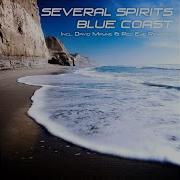 Several Spirits Blue Coast Red Eye Mix