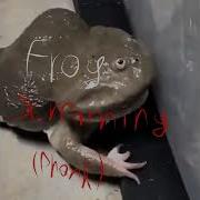 Frog Screaming Phonk