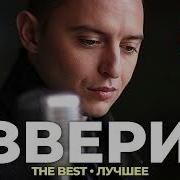 Звери Лучшее