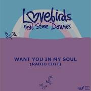 Want You In My Soul Radio Edit Lovebirds Stee Downes