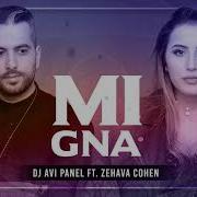 Dj Avi Panel Ft Zehava Cohen Mi Gna