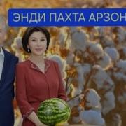 Махмуд Абдулмумин Хокимлар Хакида