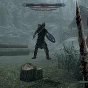 Skyrim Bug