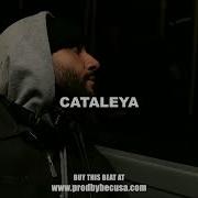 Samra Cataleya Typ Beat Prod Pepperbeatz Samra Cataleya Beat