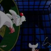 Pinky And The Brain Theme Song