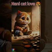 Nani Love Cat