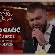 Marko Gacic Zamolicu Srce