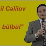 Kamil Celilov Sari Bulbul Yeni