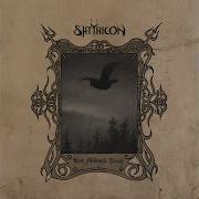 Into The Mighty Forest Satyricon