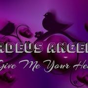 Amadeus Angelus