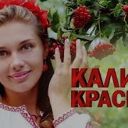 Сборник Песен Калина Красная