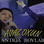 Avaz Oxun Antiqa Boylar