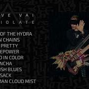 Steve Vai Album