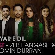 Diyar E Dil Ost