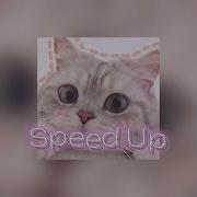 Ошибаюсь Speed Up