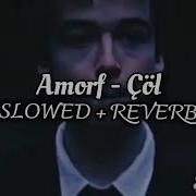 Amorf Gül Bakışlım Slowed Reverb