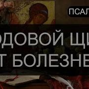 Годовой Щит От Болезней