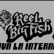 Bye Bye Miss American Reel Big Fish