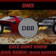 Dmx Catz Don T Know Kjuus Remix Bass Boosted