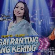 Bagai Ranting Kering