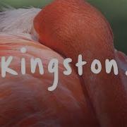 Kingston Lyrics